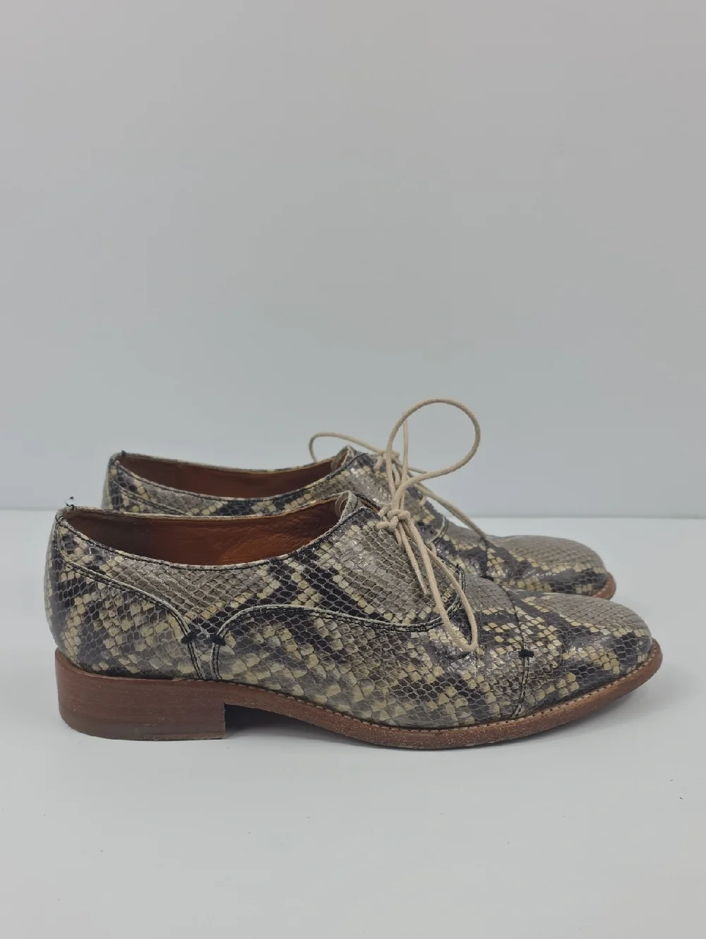 Two24 By Ariat Austen Snakeskin Women's Oxford Shoes‎ Size 8